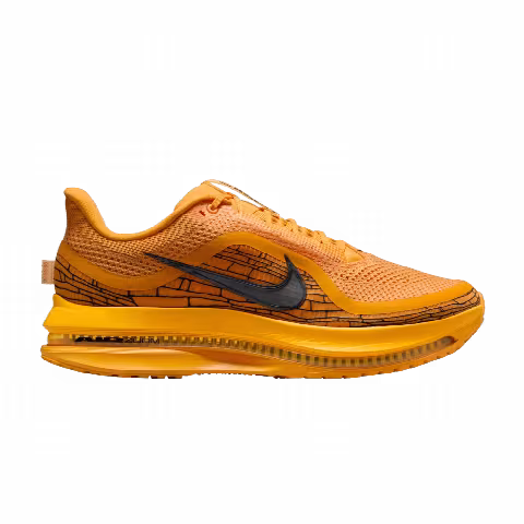 Nike Pegasus Premium LV8 'Modern Mayfly Pack'