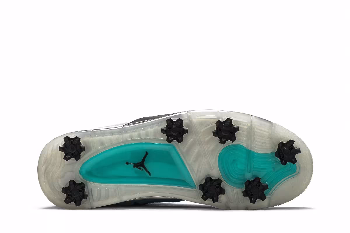 Air Jordan 4 Golf NRG Torrey Pines, view 5