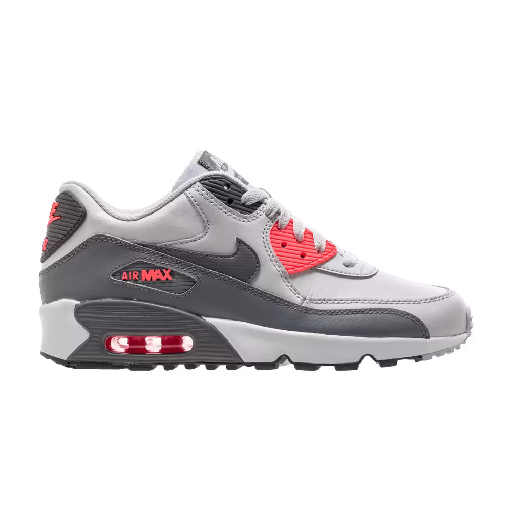 Nike Air Max 90 LTR GS Pure Platinum