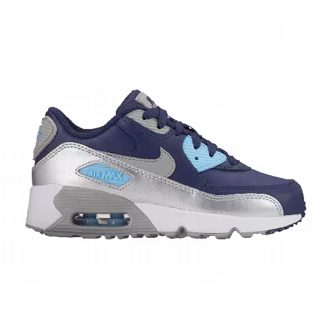 Nike Air Max 90 Leather PS 'Binary Blue Metallic Silver'