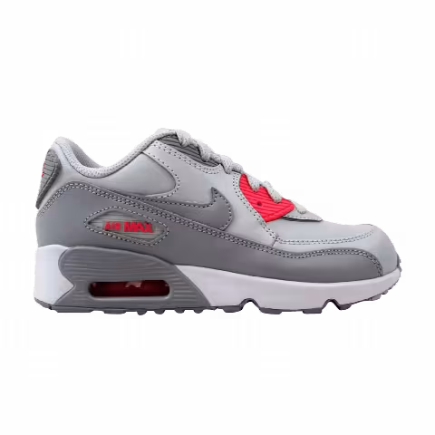 Nike Air Max 90 Leather PS 'Pure Platinum Wolf Grey'