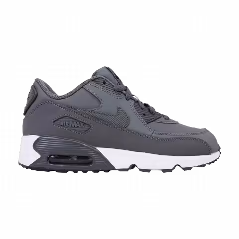 Nike Air Max 90 Leather PS 'Dark Grey'