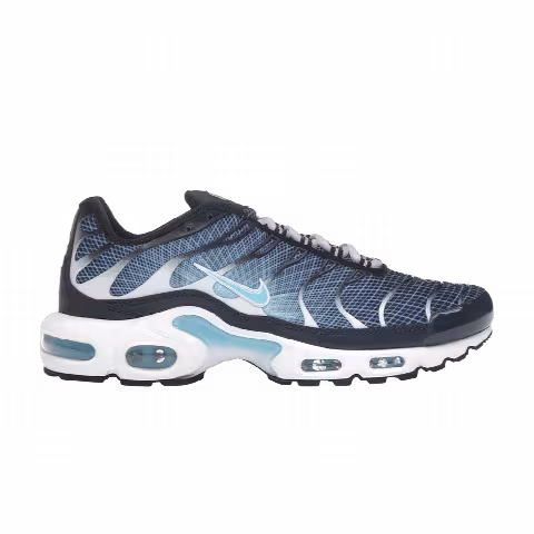 Nike Air Max Plus 'Dark Obsidian'