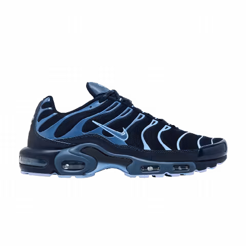 Nike Air Max Plus 'Obsidian Aluminum'