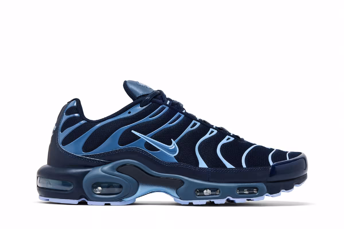 Nike Air Max Plus Obsidian Aluminum, view 2