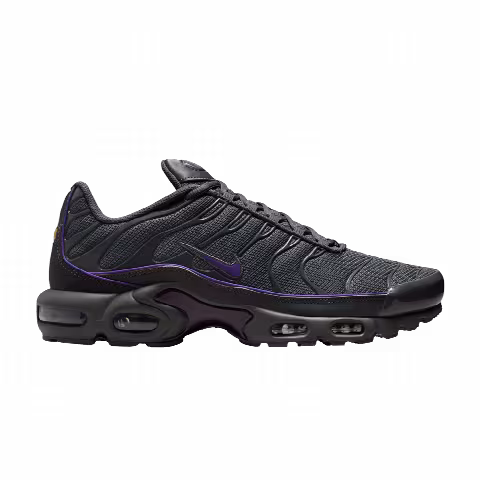 Nike Air Max Plus 'Iron Grey Wild Grape'