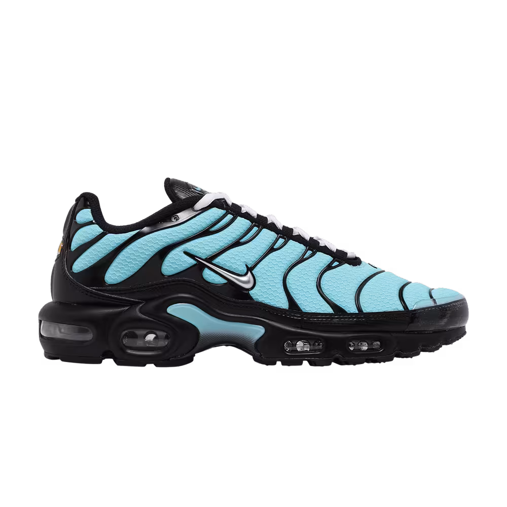 Nike Air Max Plus Aqua Silver