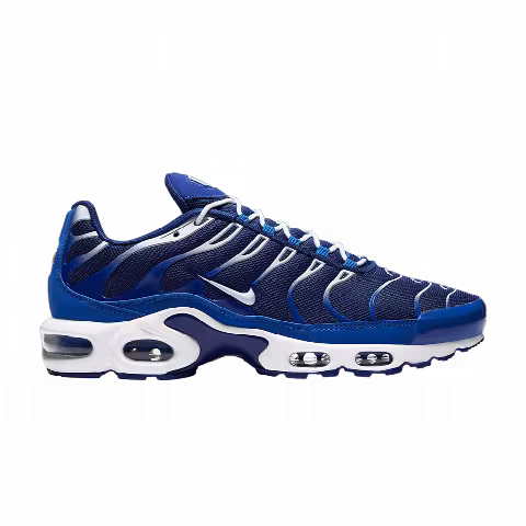 Nike Air Max Plus 'Arctic Chill'