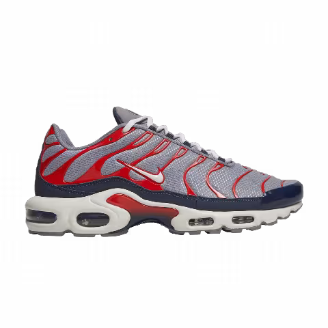 Nike Air Max Plus 'Grey USA'