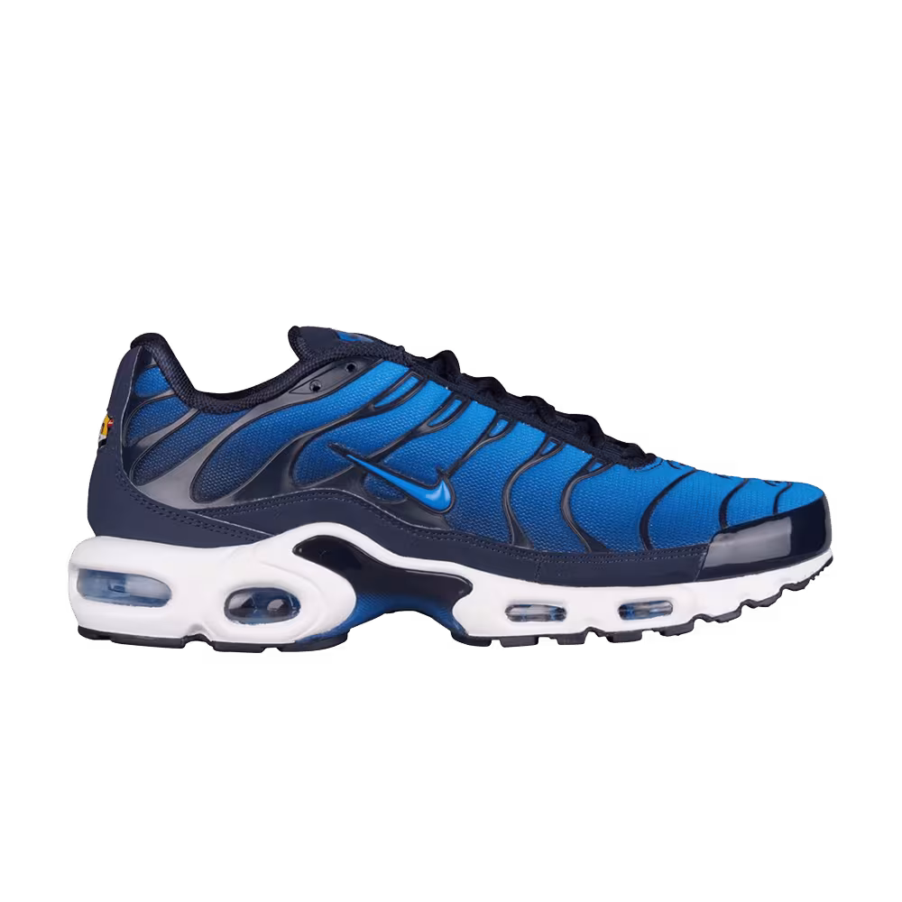 Nike Air Max Plus TN Obsidian