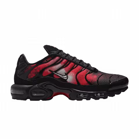 Nike Air Max Plus 'Flairemax'