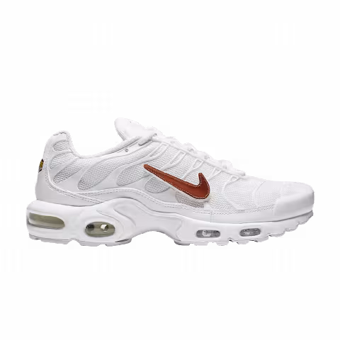 Nike Air Max Plus 'Removable Swoosh'