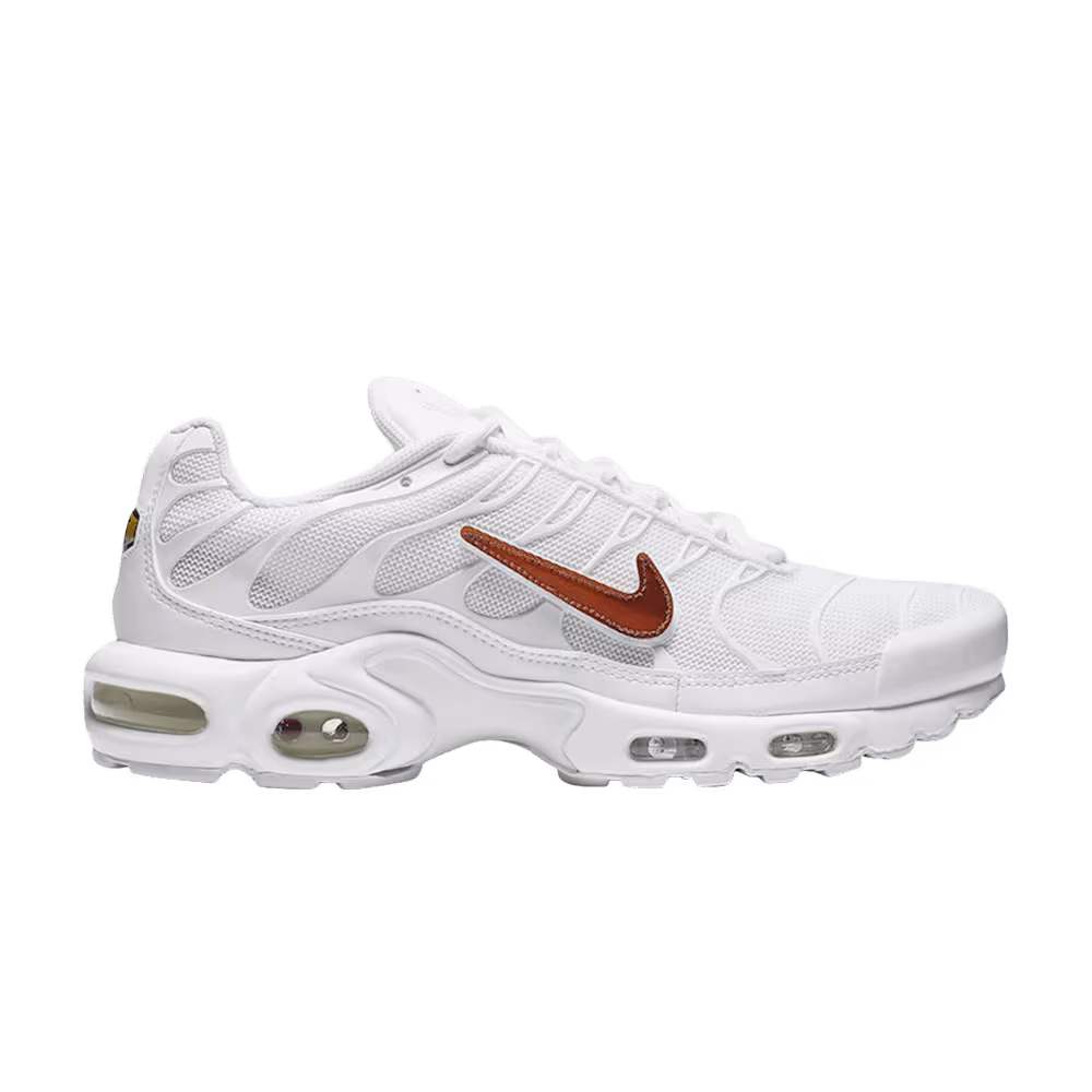 Nike Air Max Plus Removable Swoosh