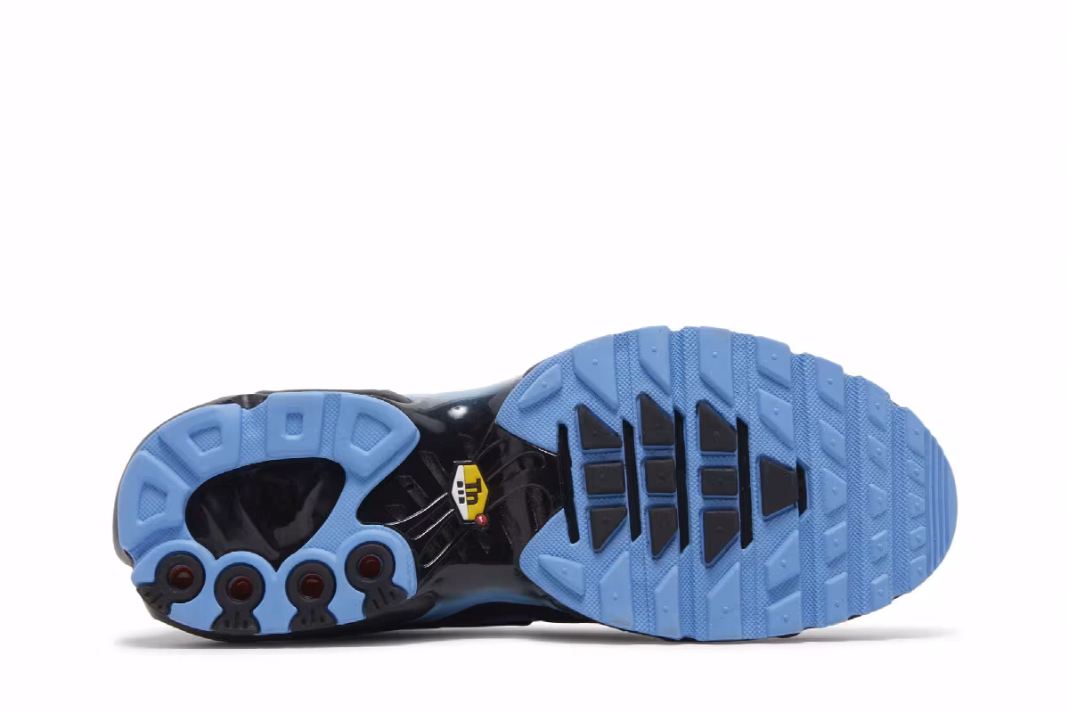 Nike Air Max Plus Black University Blue, view 5