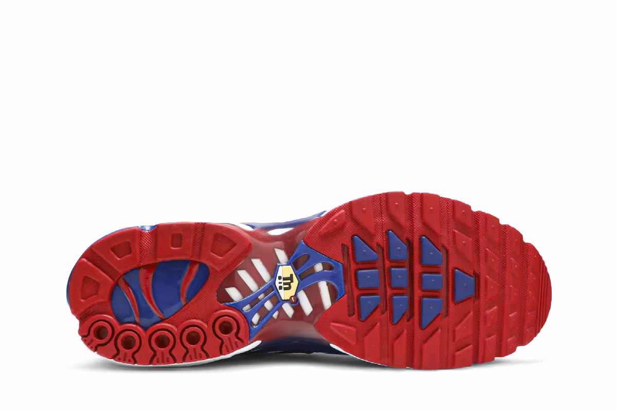 Nike Air Max Plus Red White Blue, view 5