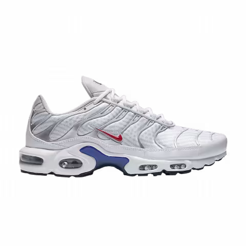 Nike Air Max Plus 'Euro Tour - Particle Grey'