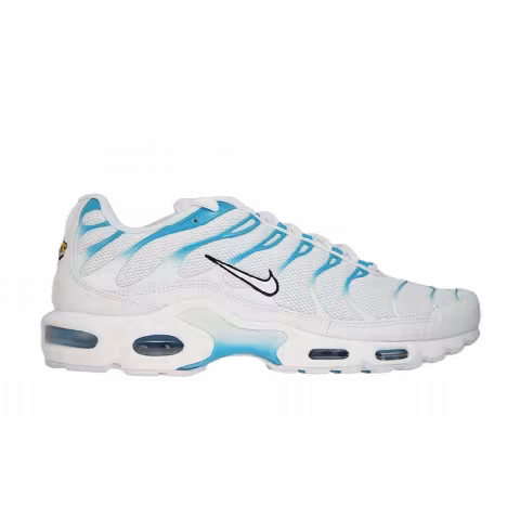 Nike Air Max Plus 'Blue Fury'