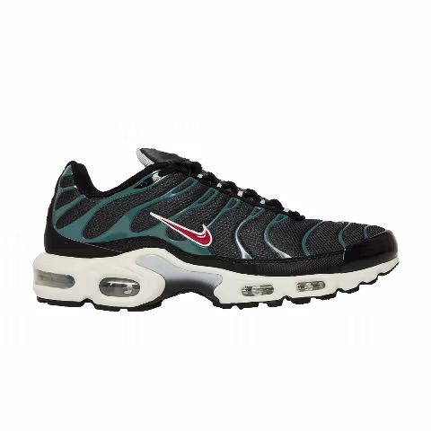Nike Air Max Plus 'Anthracite Hasta'