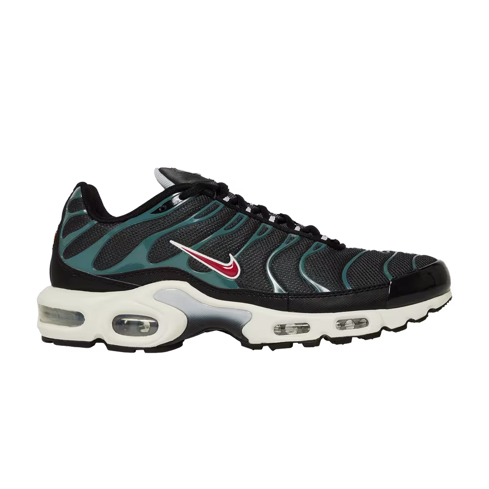 Nike Air Max Plus Anthracite Hasta