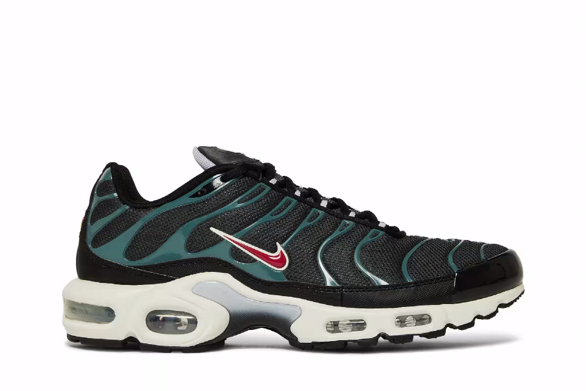Nike Air Max Plus Anthracite Hasta, view 2