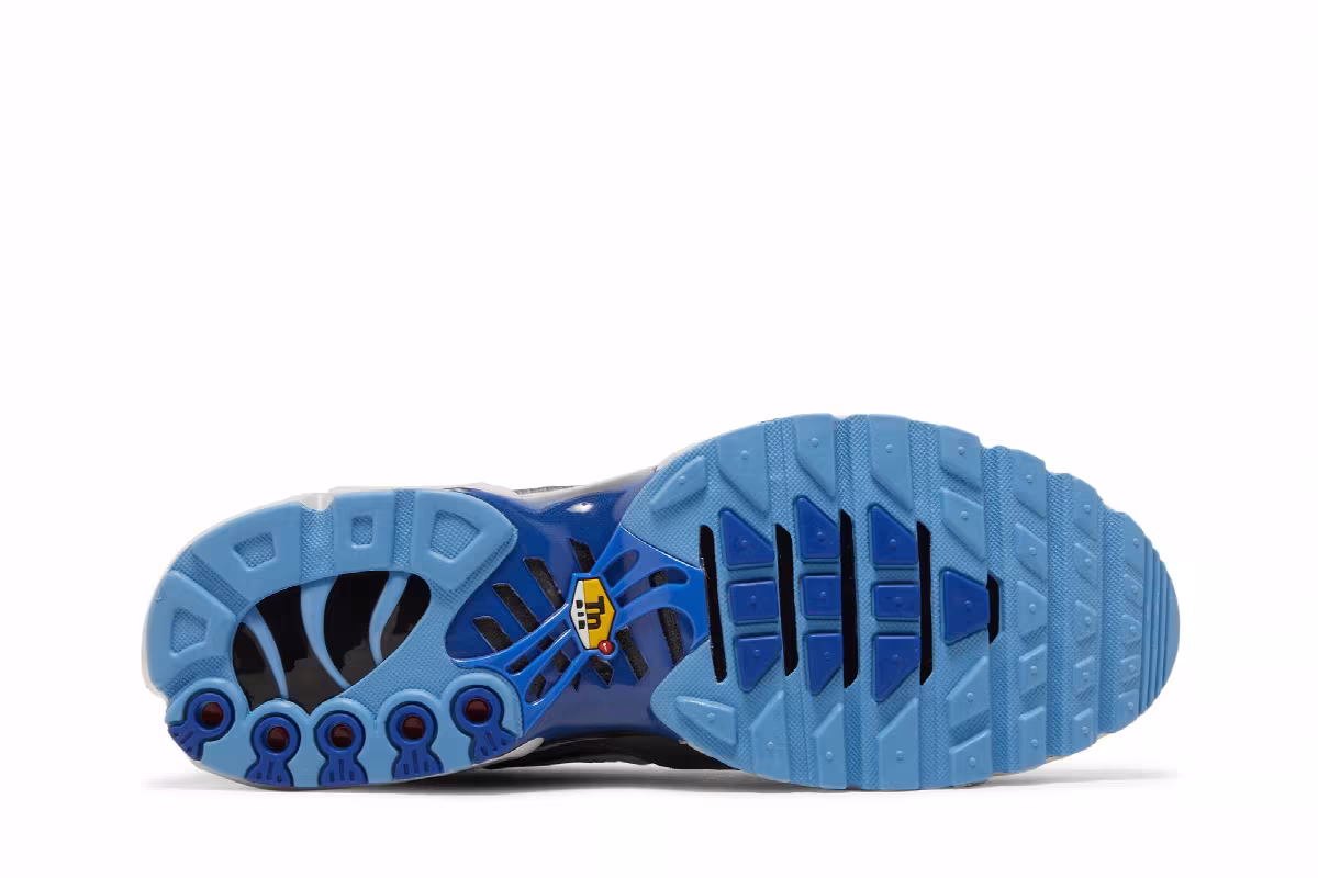 Nike Air Max Plus Black Royal Blue, view 5