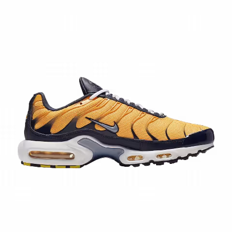 Nike Air Max Plus