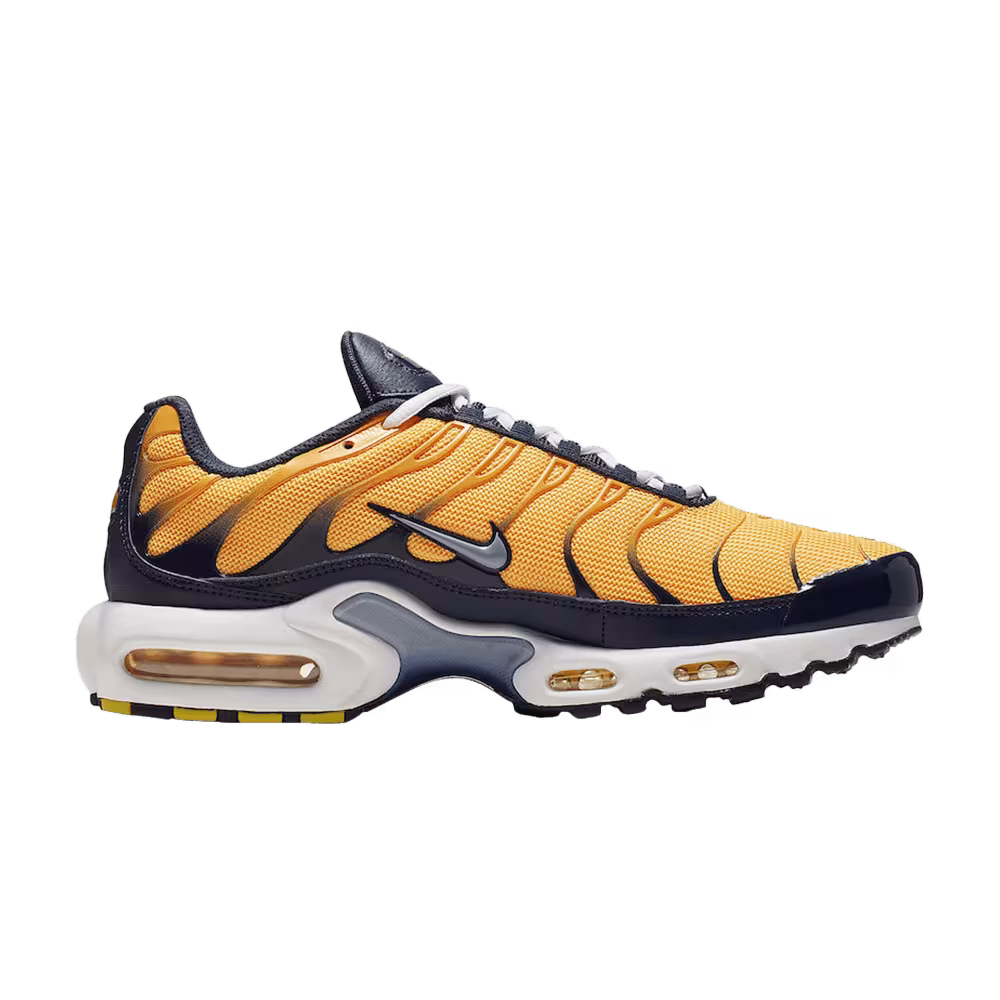 Nike Air Max Plus