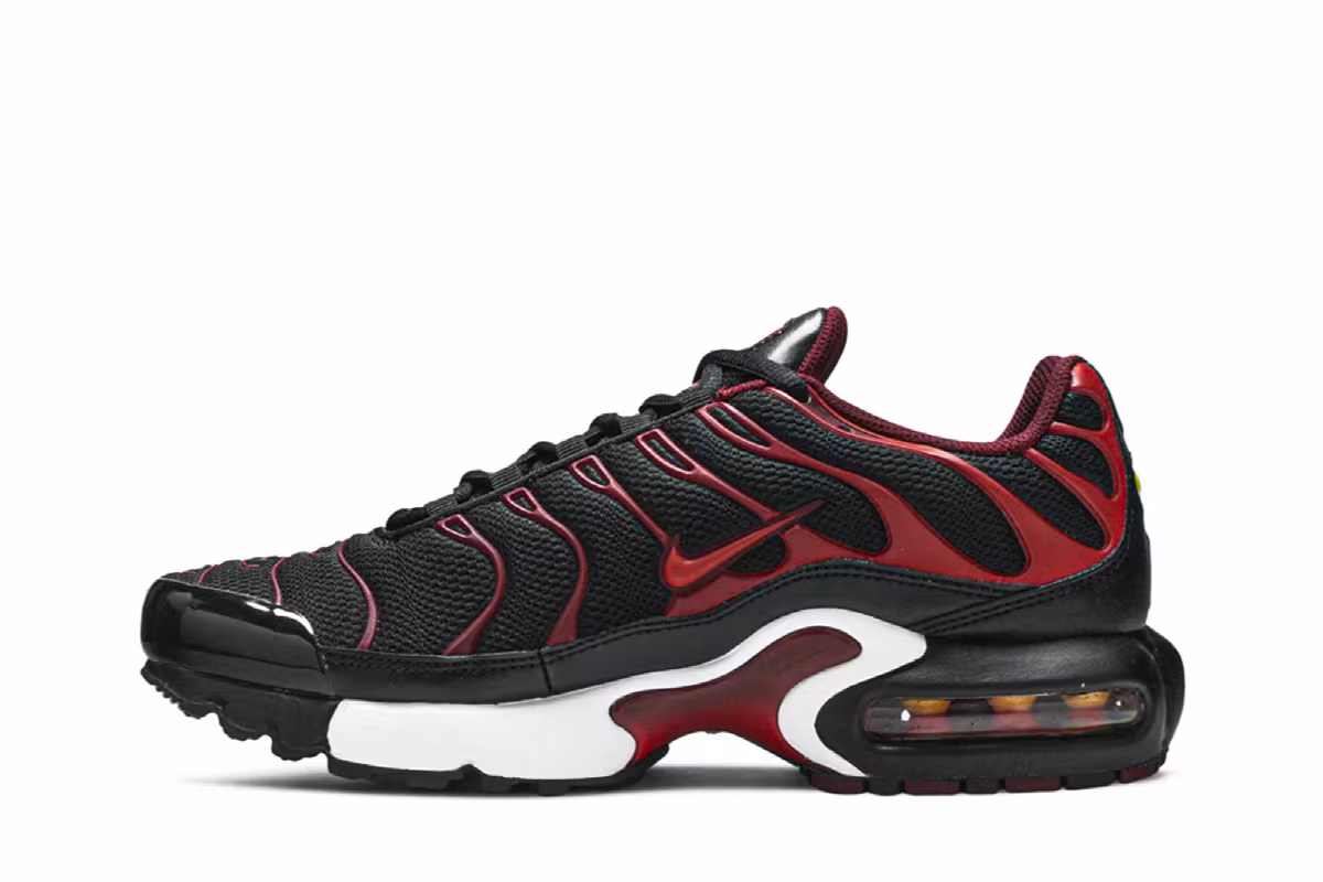 Nike Air Max Plus GS Bred, view 4