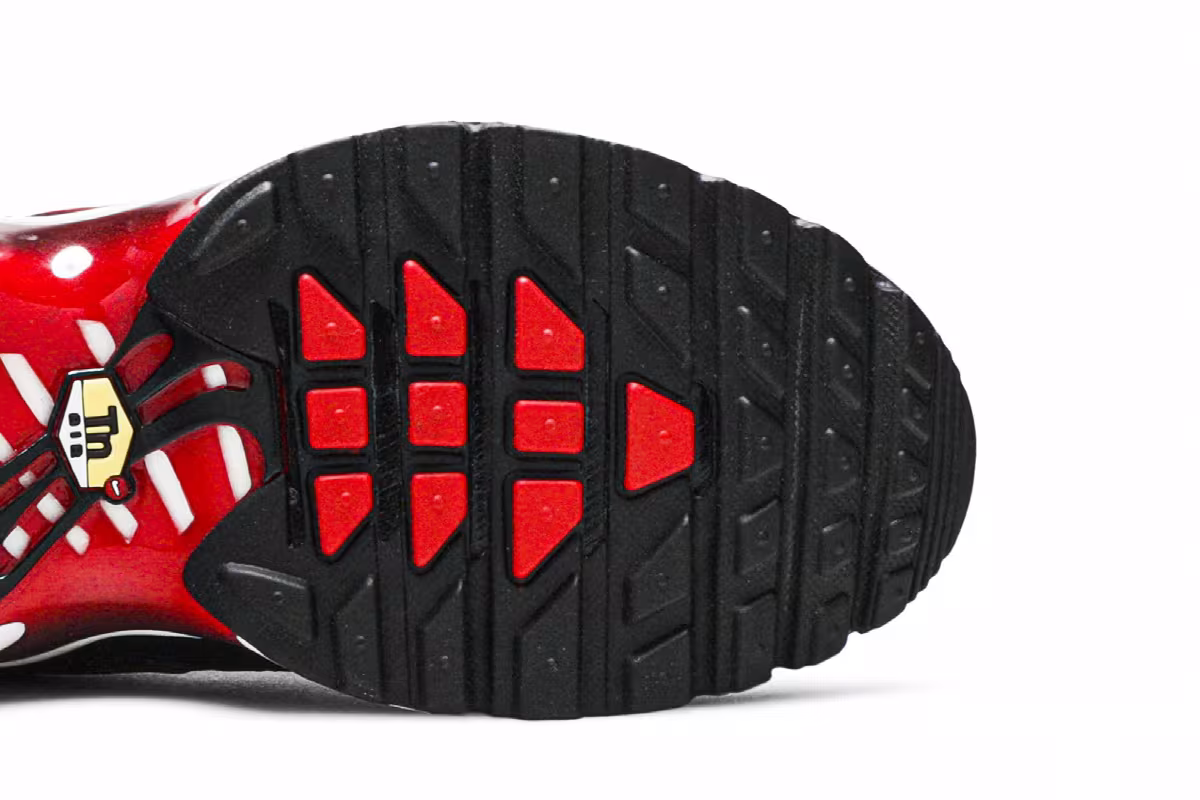 Nike Air Max Plus GS Bred, view 6