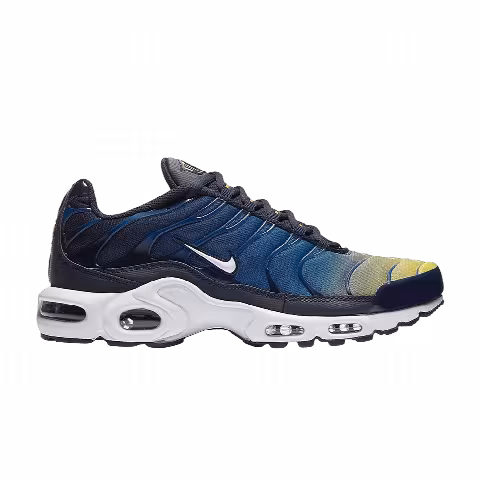 Nike Air Max Plus 'Gradient Pack'