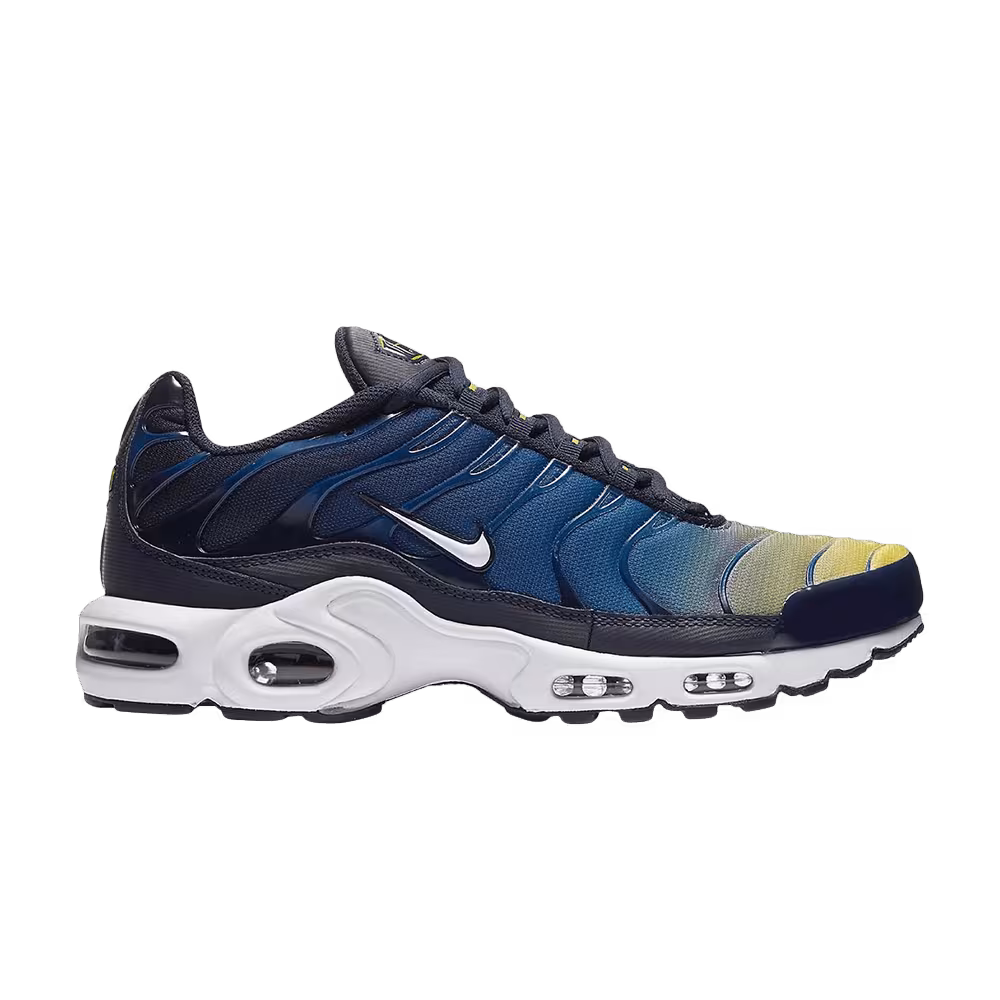 Nike Air Max Plus Gradient Pack