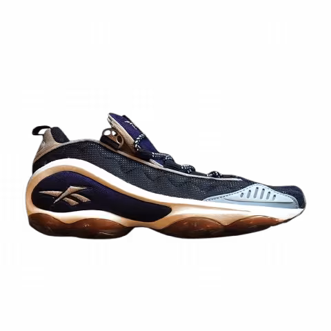 Reebok DMX Run 'Viking Purple Industrial Bronze'