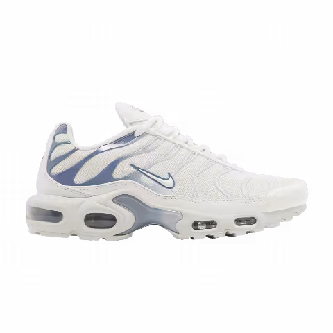 Nike Wmns Air Max Plus 'Ashen Slate'