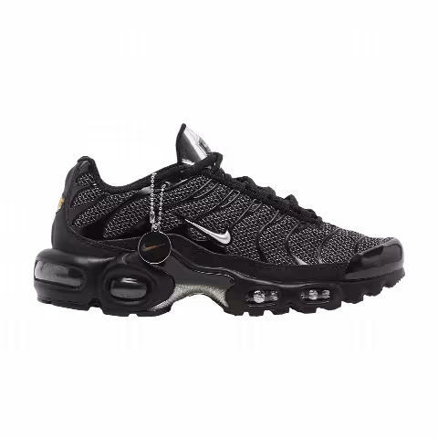 Nike Wmns Air Max Plus 'Black Metallic Silver'