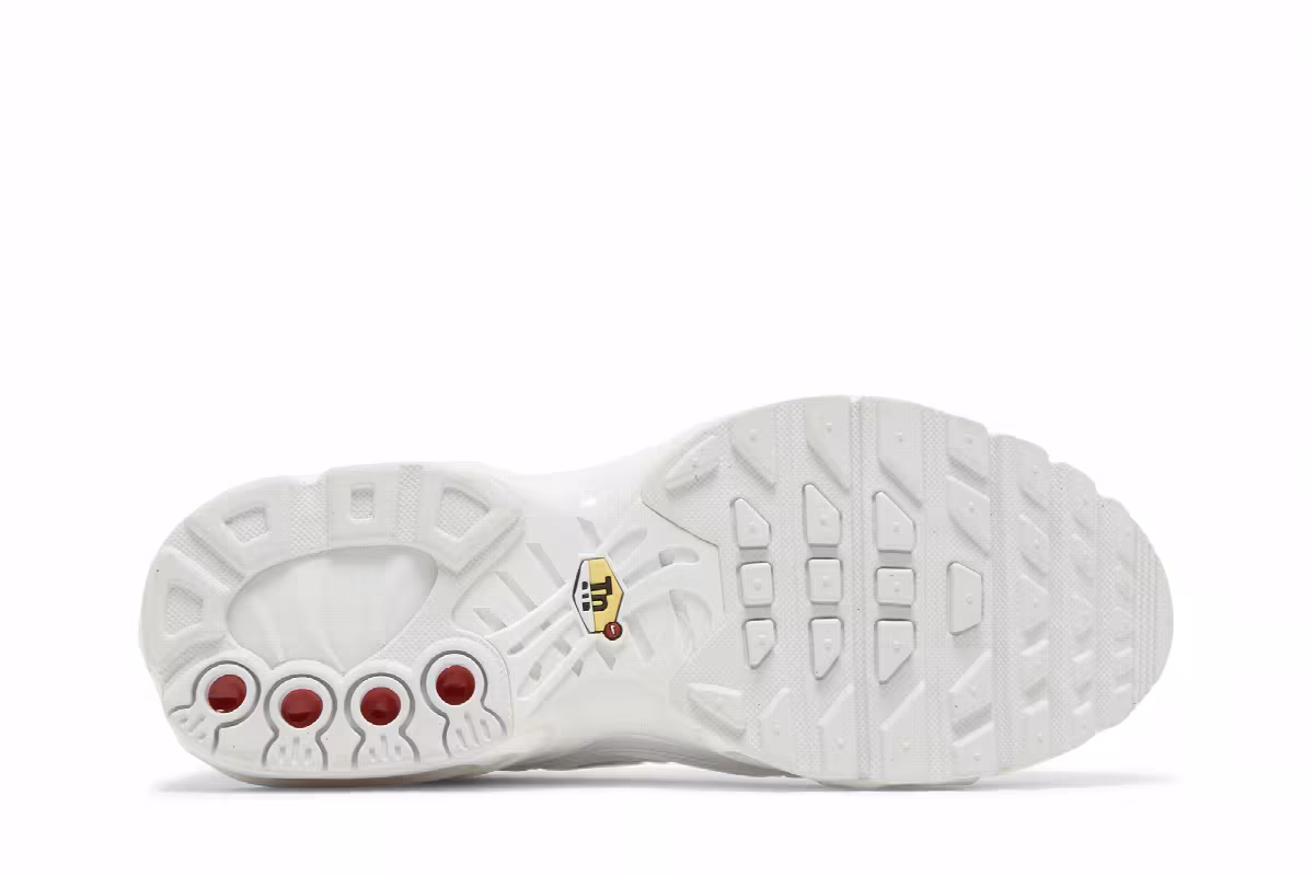 Nike Air Max Plus GS White Metallic Silver, view 5