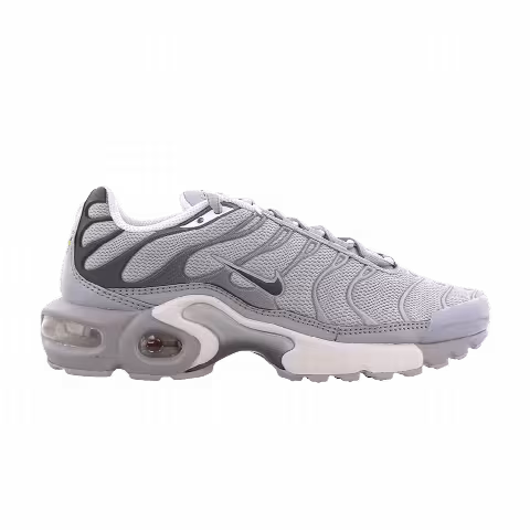 Nike Air Max Plus GS 'Wolf Grey'