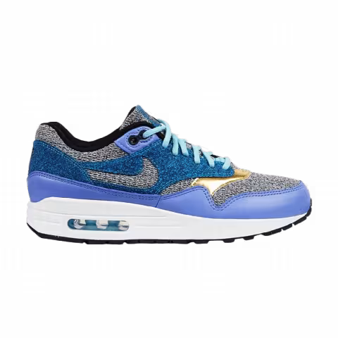 Nike Wmns Air Max 1 SE 'Polar'