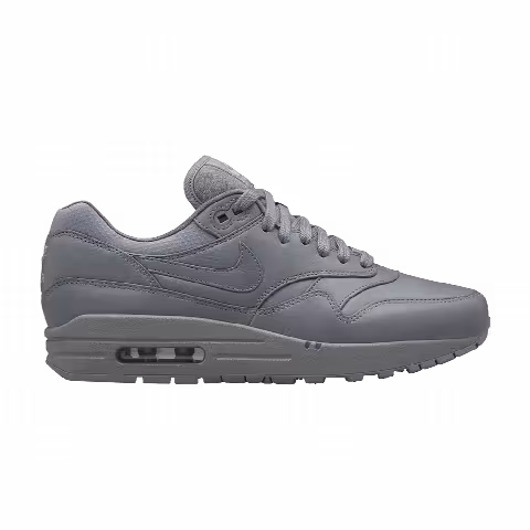 Nike Wmns Air Max 1 Pinnacle 'Cool Grey'