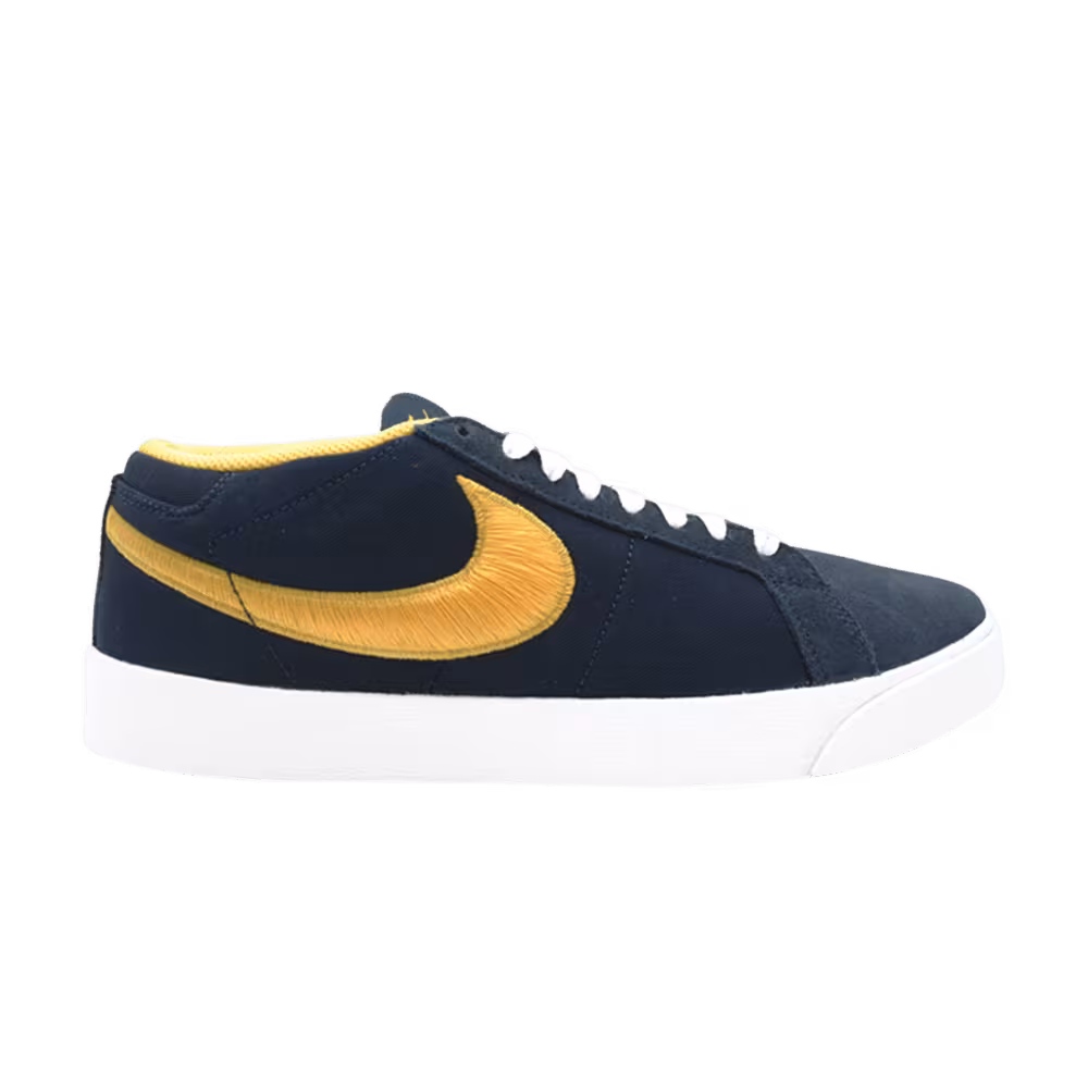 Nike Blazer SB CS