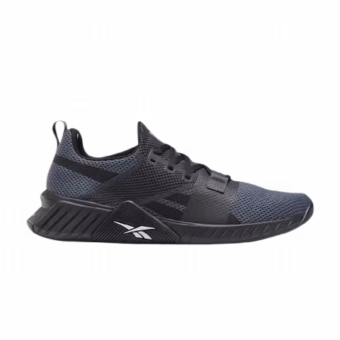 Reebok Flashfilm Train 2 'True Grey Matte Silver'