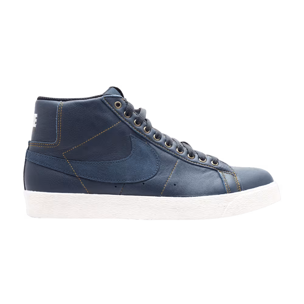Nike Blazer Sb Elite Pool Service