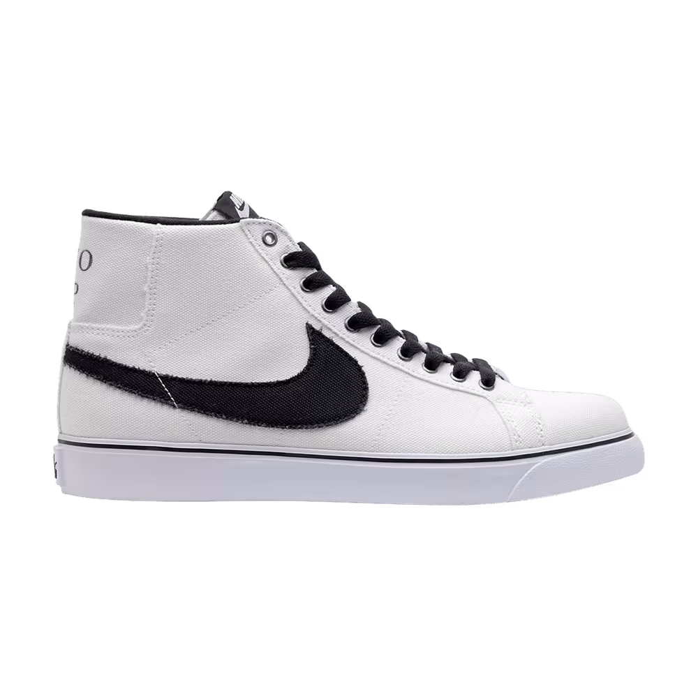 Nike Zoom Blazer Sb Canvas Two Up