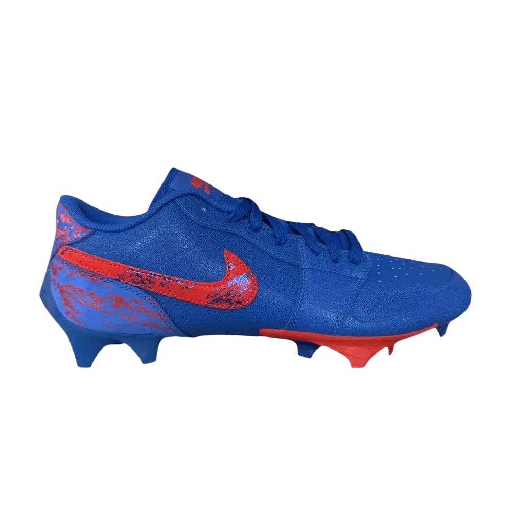 Nike Jordan 1 Vapor Edge Low Florida Gators PE