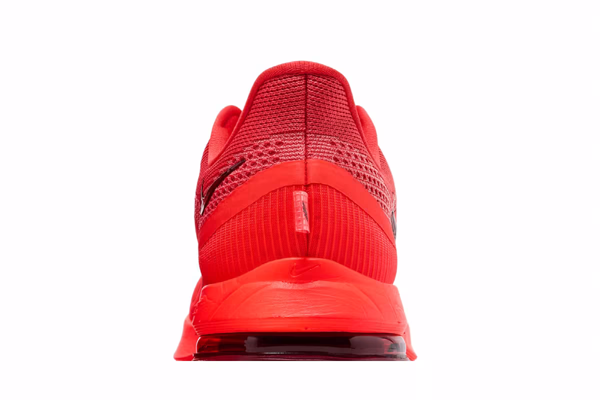 Nike Pegasus Premium Light Crimson, view 8