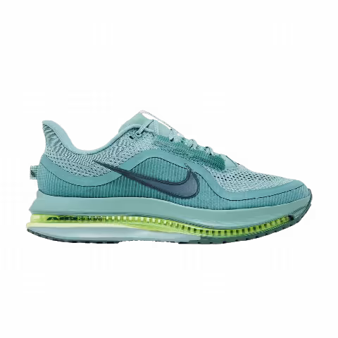 Nike Pegasus Premium 'Cannon'