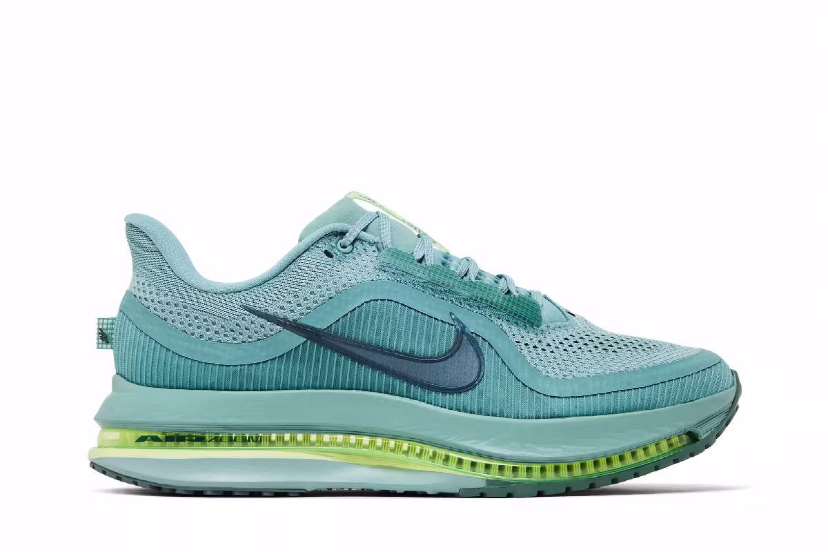 Nike Pegasus Premium Cannon, view 2