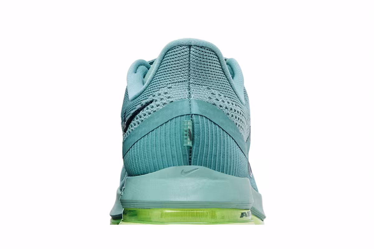 Nike Pegasus Premium Cannon, view 8