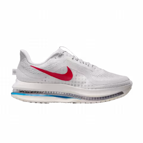Nike Wmns Pegasus Premium 'Forrest Gump'