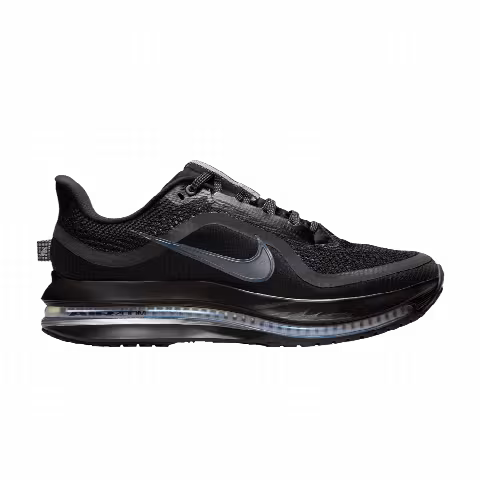 Nike Wmns Pegasus Premium 'Black Metallic Silver'