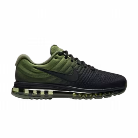 Nike Air Max 2017 'Black Palm Green'